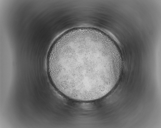 X0000115150839200911241527