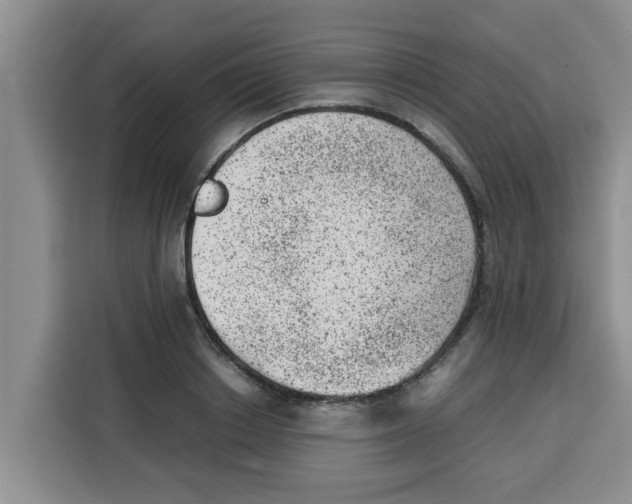 X0000115150842200911241527