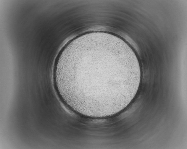 X0000115150845200911241527