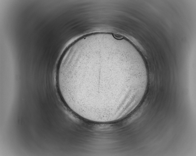 X0000115150846200911241527