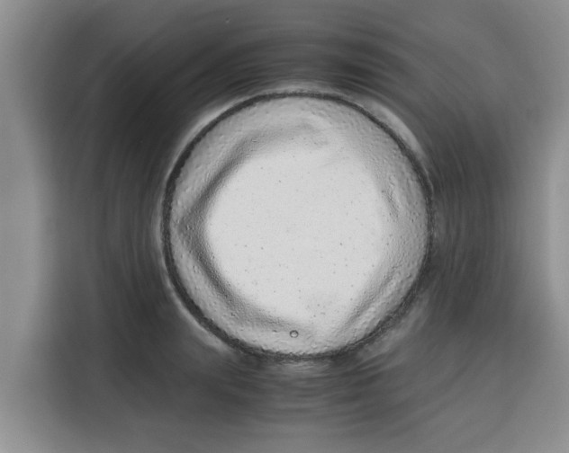 X0000115150847200911241527