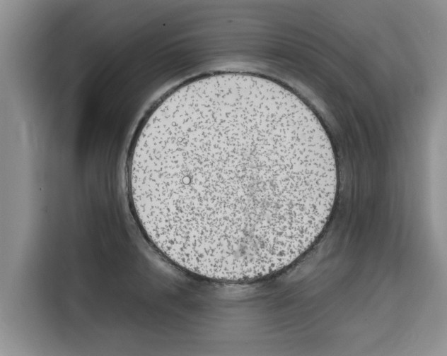 X0000115150848200911241527