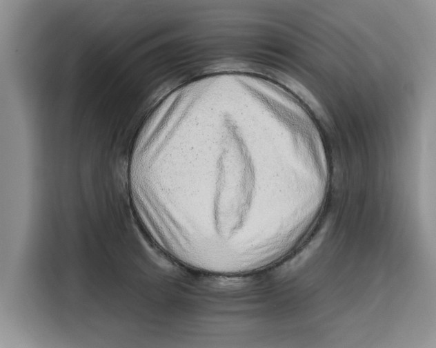 X0000115150849200911241527