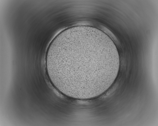 X0000115150852200911241527