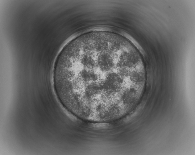 X0000115150853200911241527