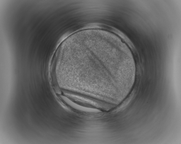 X0000115150858200911241527