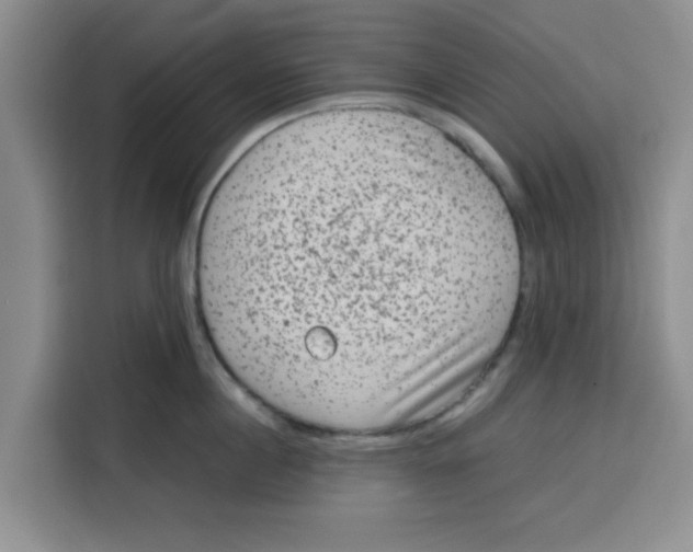 X0000115150860200911241527