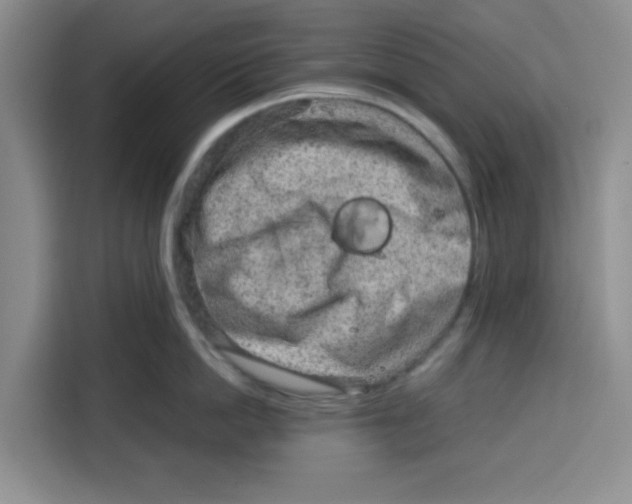 X0000115150862200911241527