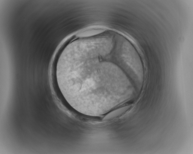 X0000115150864200911241527