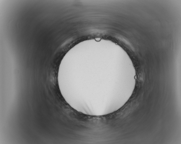 X0000115150869200911241527