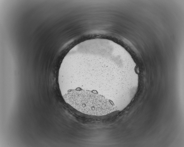 X0000115150872200911241527