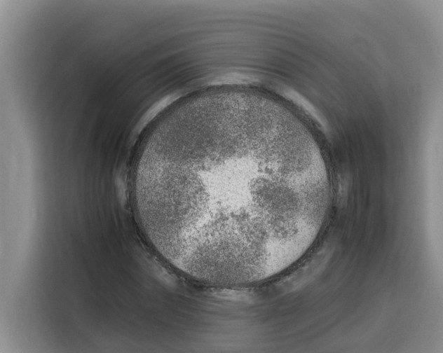 X0000115150874200911241527