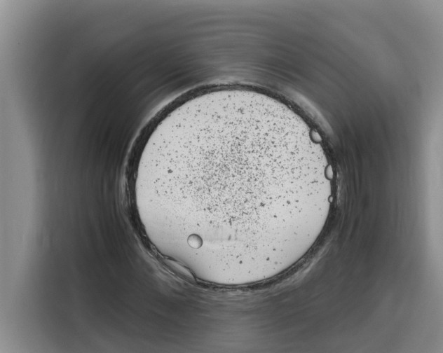 X0000115150876200911241527