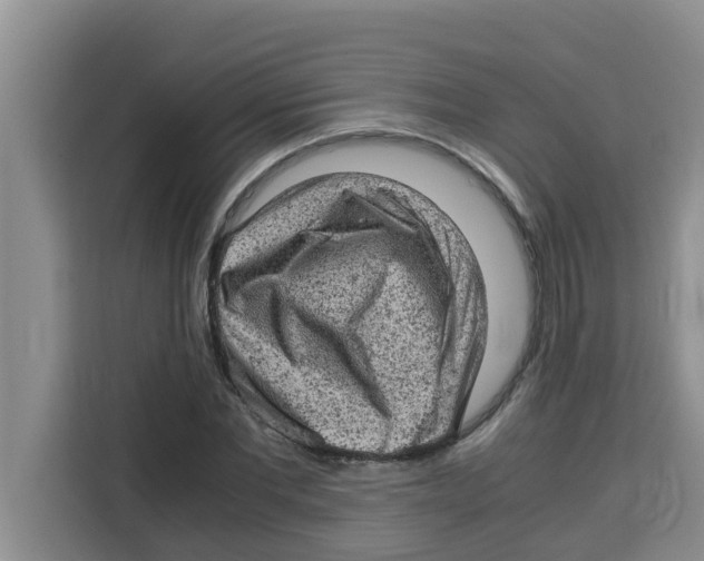 X0000115150877200911241527