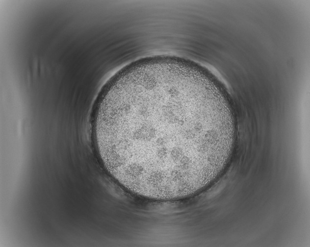 X0000115150879200911241527