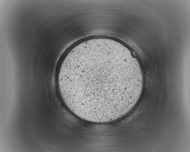 X0000115150880200911241527