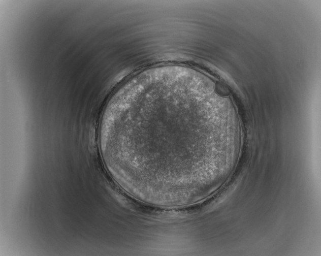 X0000115150881200911241527