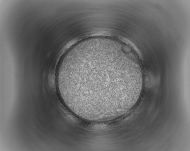 X0000115150882200911241526