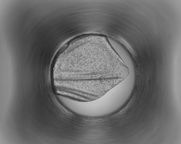 X0000115150884200911241526