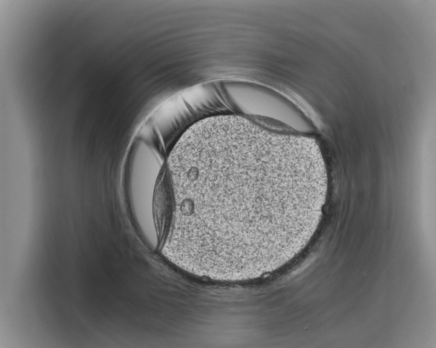 X0000115150885200911241526