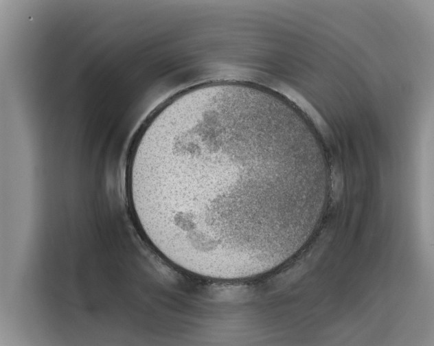 X0000115150886200911241526