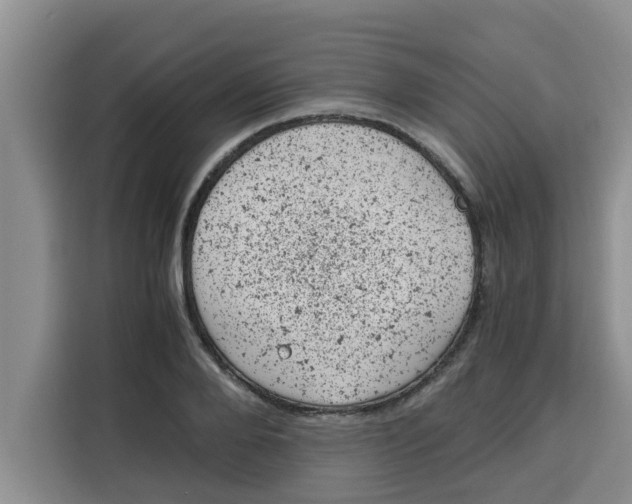 X0000115150888200911241526