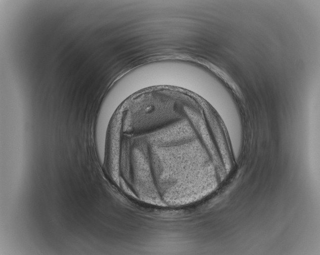 X0000115150889200911241526