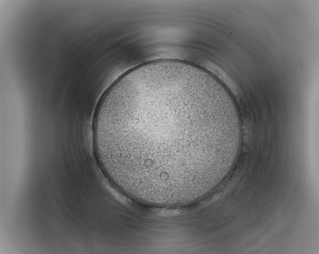 X0000115150890200911241526