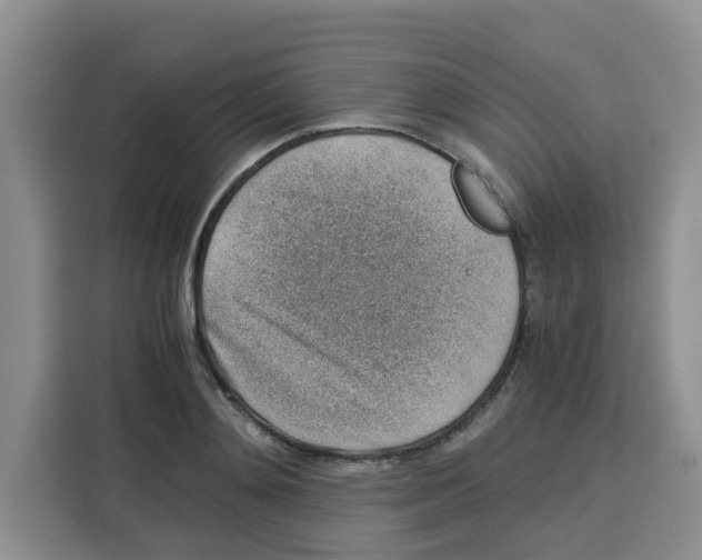 X0000115150892200911241526