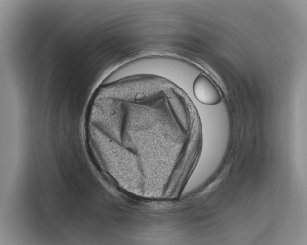 X0000115150893200911241526