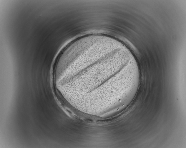 X0000115150894200911241526