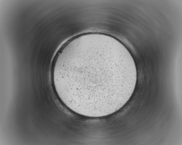 X0000115150896200911241526