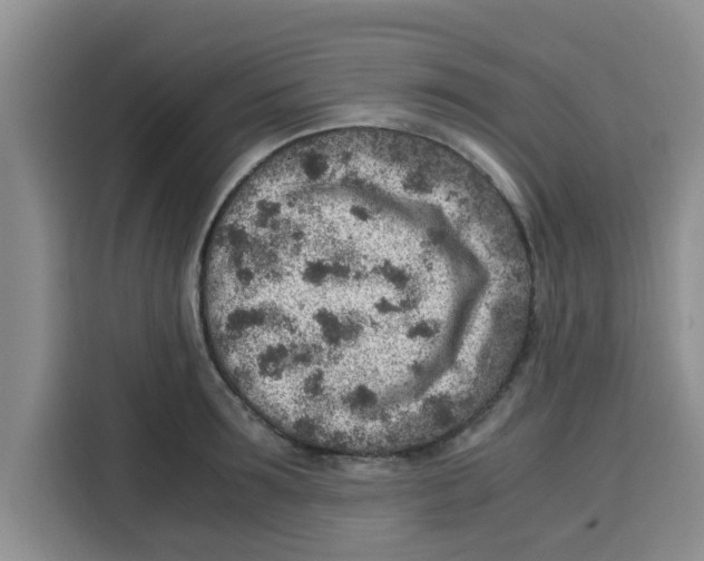 X0000115150899200911241526