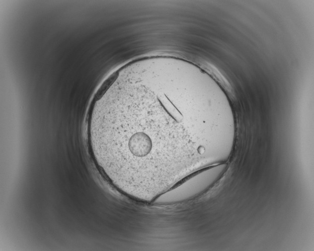 X0000115150900200911241526