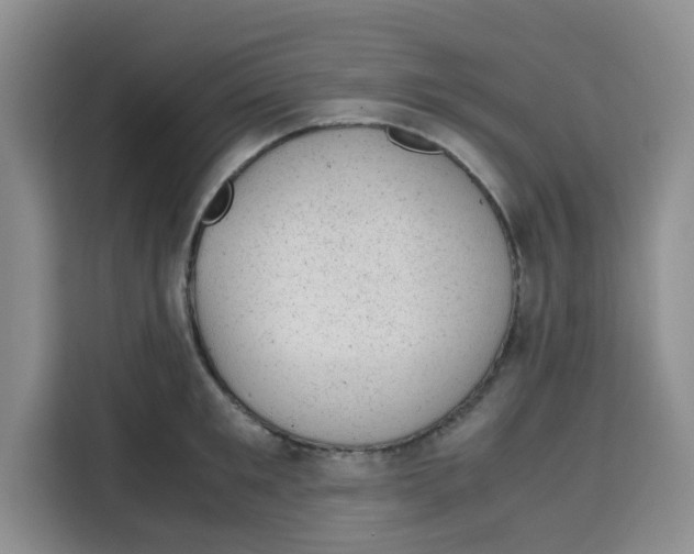 X0000115150901200911241526