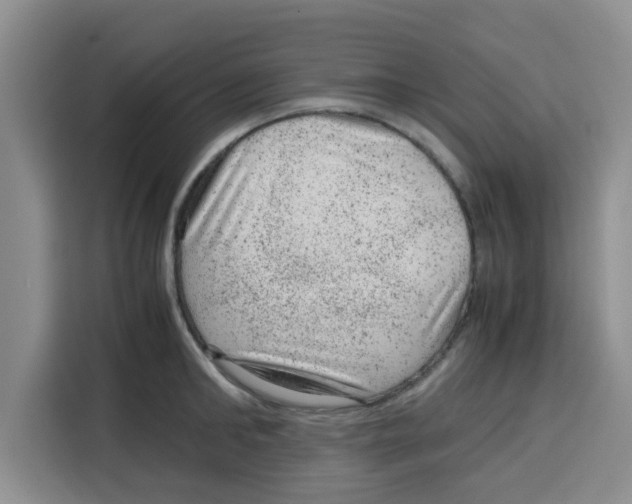 X0000115150902200911241526