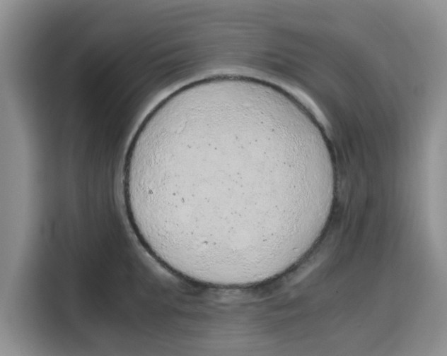 X0000115150903200911241526