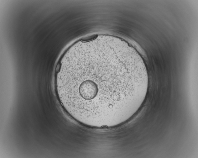 X0000115150904200911241526