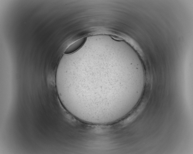 X0000115150905200911241526