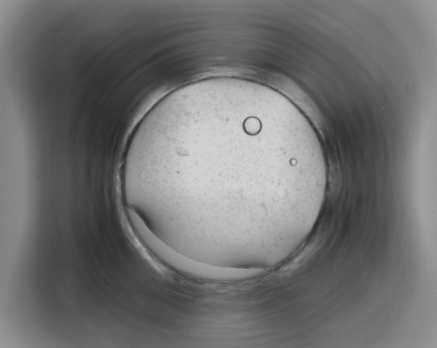 X0000115150906200911241526