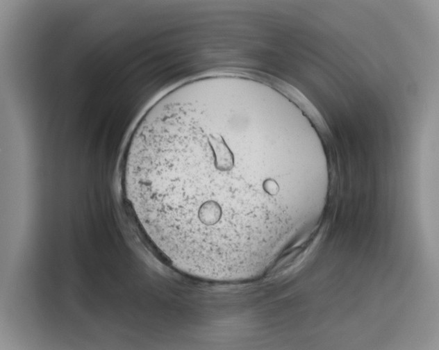 X0000115150908200911241526