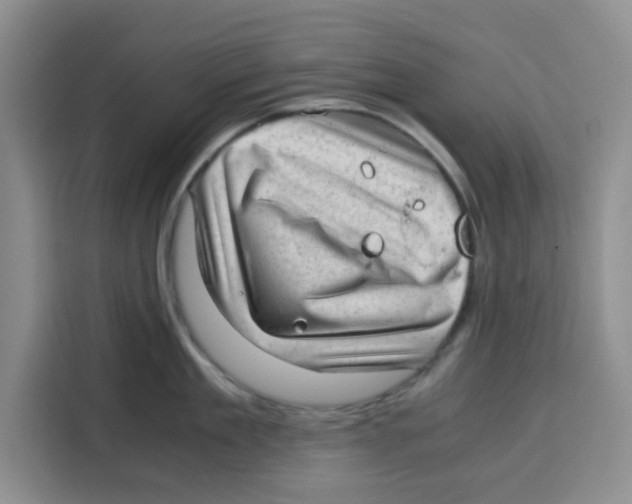 X0000115150909200911241526