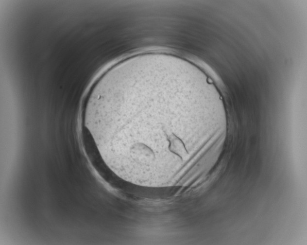 X0000115150910200911241526