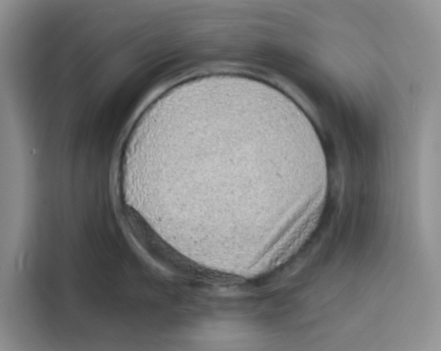 X0000115150911200911241526