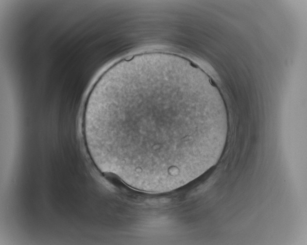 X0000115150912200911241526