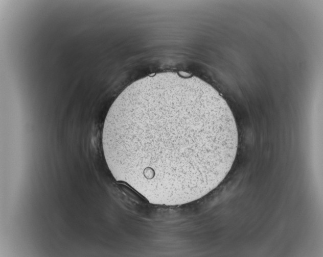 X0000115150914200911241525