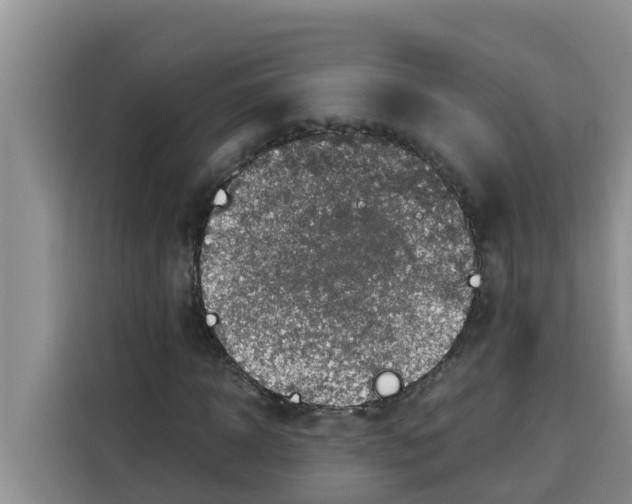 X0000115150918200911241526