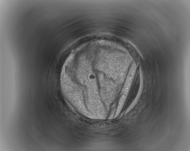 X0000115150919200911241526