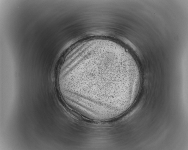 X0000115150922200911241526