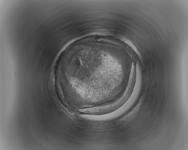 X0000115150923200911241526